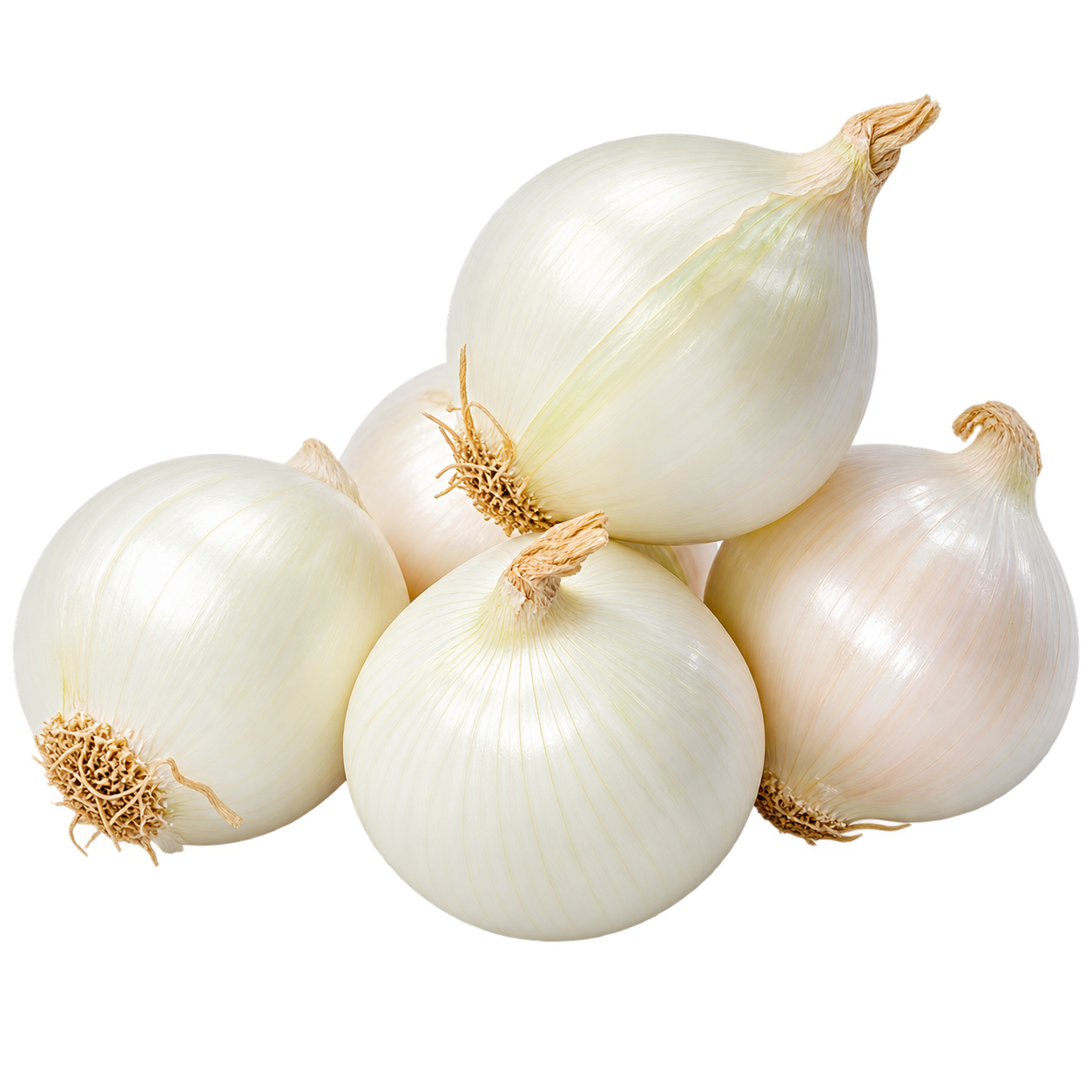 Onions white