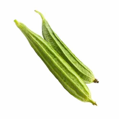 Shop Secondary Image